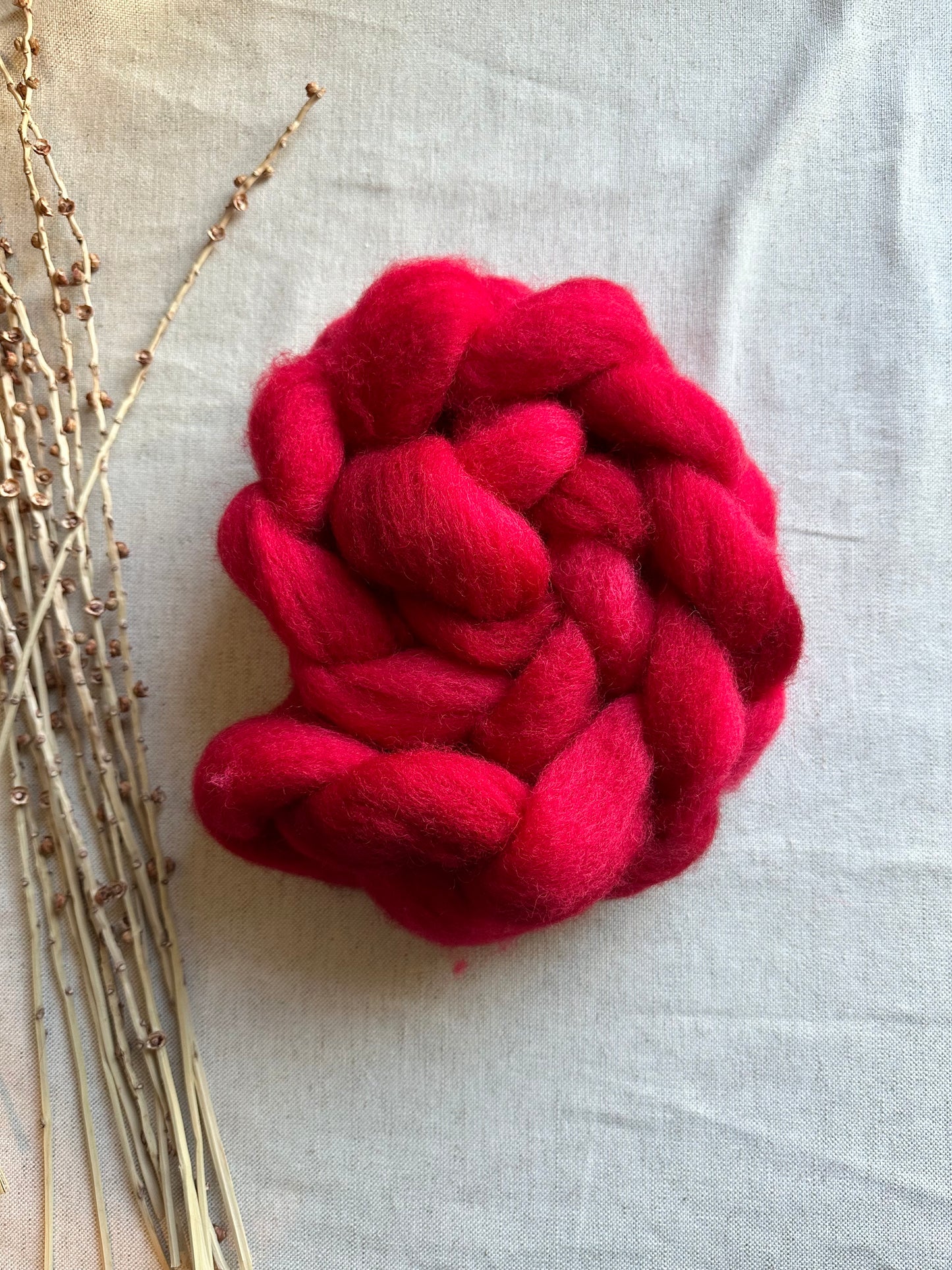 Poinsettia Cormo Top Spinning Fiber