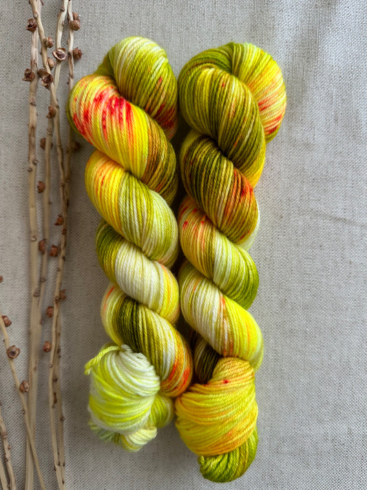 Tadpole 50g Skein