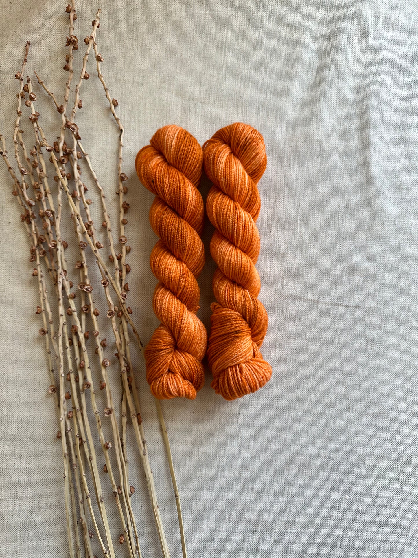 Spiced Pumpkin SW Merino Nylon 50g Skein