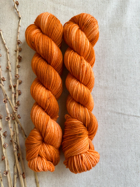 Spiced Pumpkin SW Merino Nylon 50g Skein