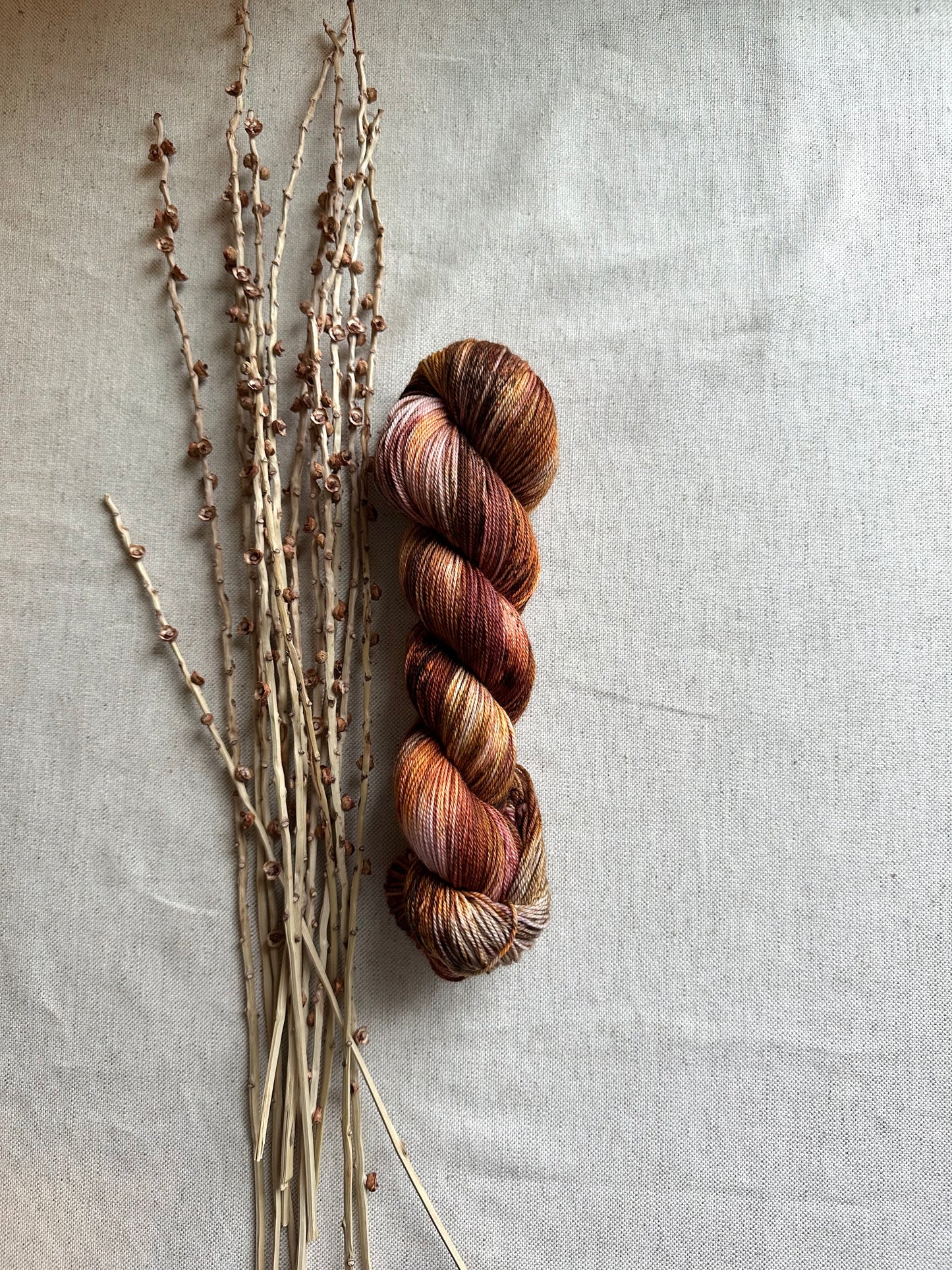 Salted Caramel 100g 3ply SW Merino Nylon