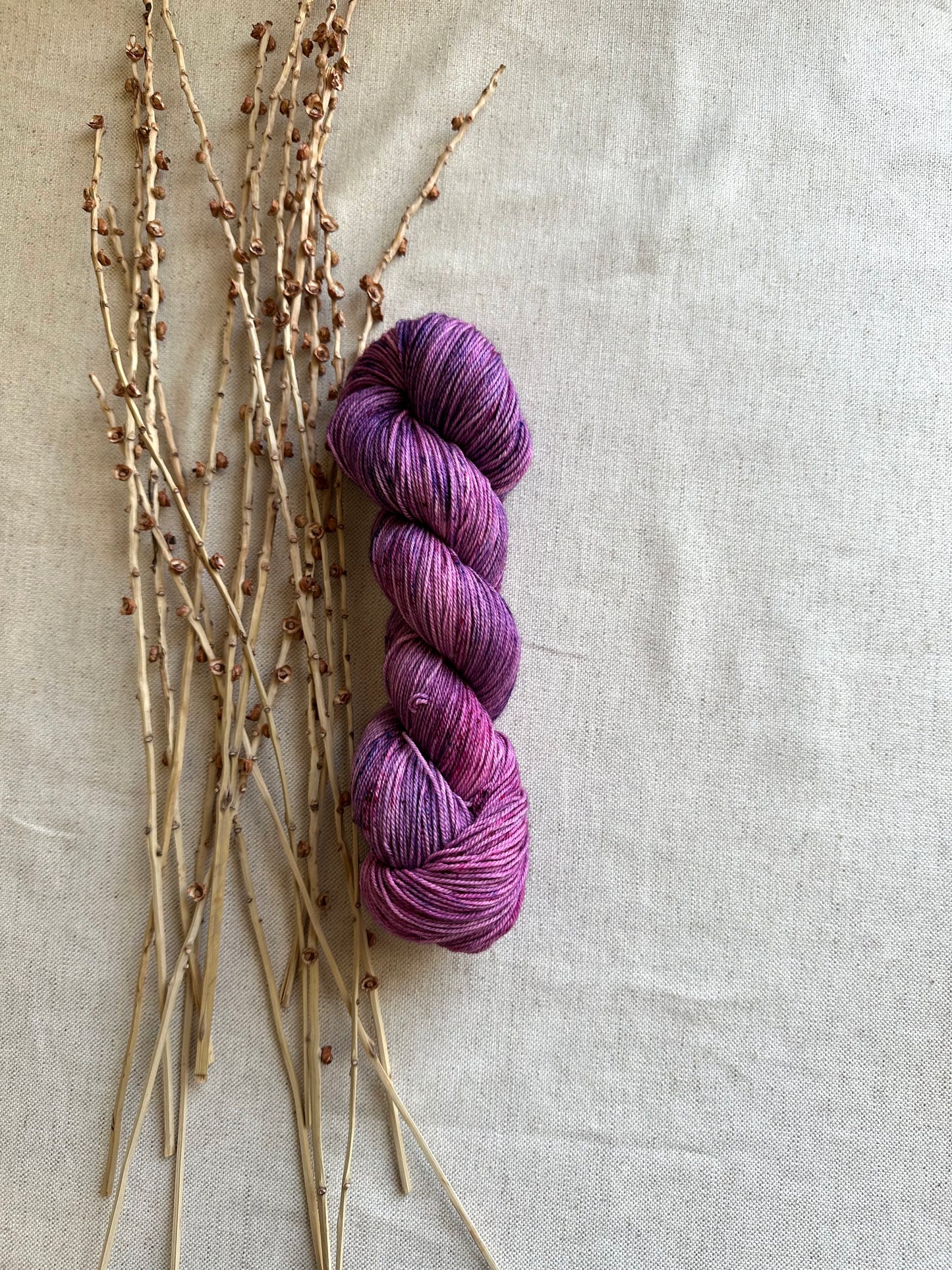 Boysenberry Cobbler 100g 3ply SW Merino Nylon