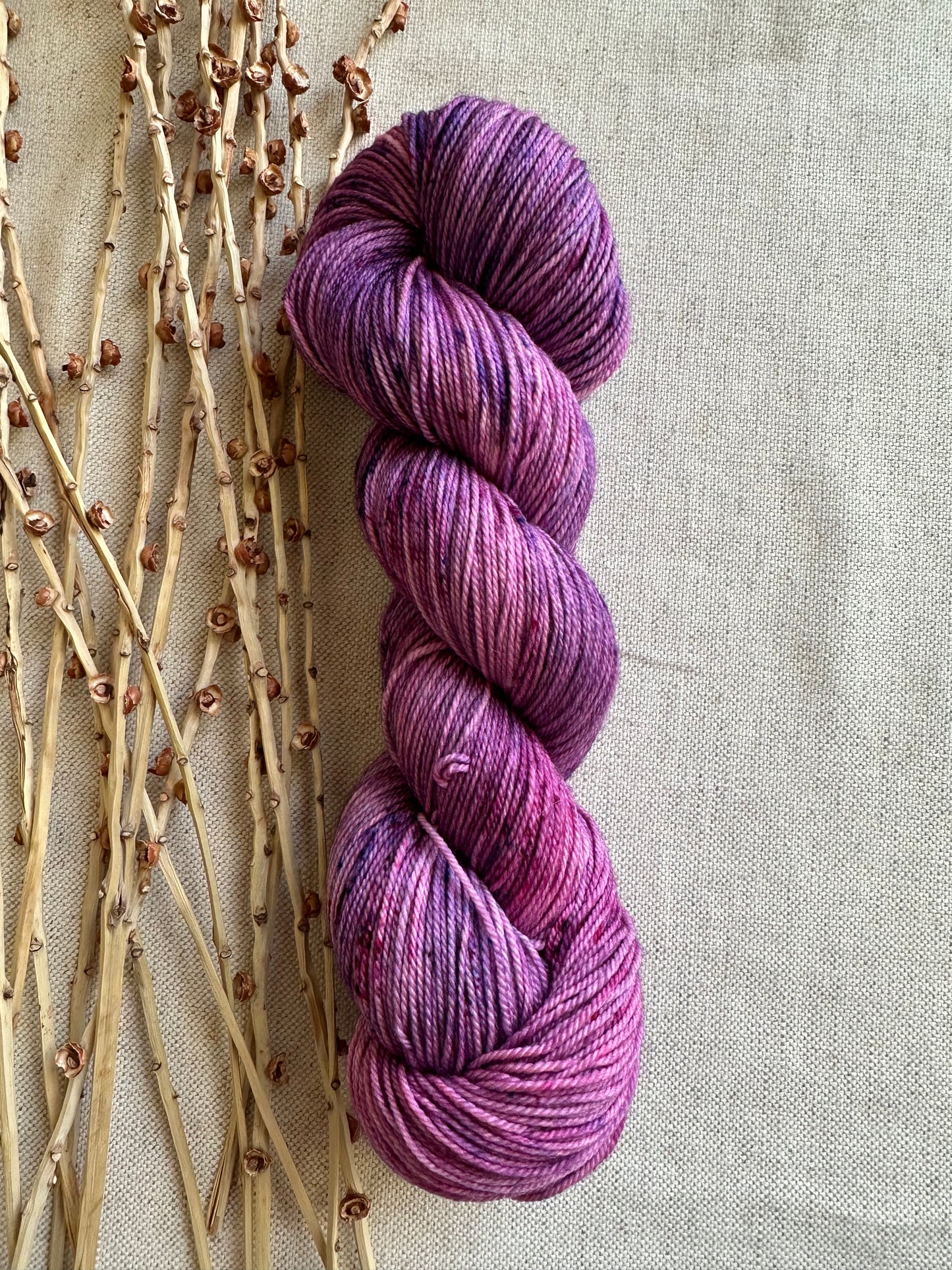 Boysenberry Cobbler 100g 3ply SW Merino Nylon