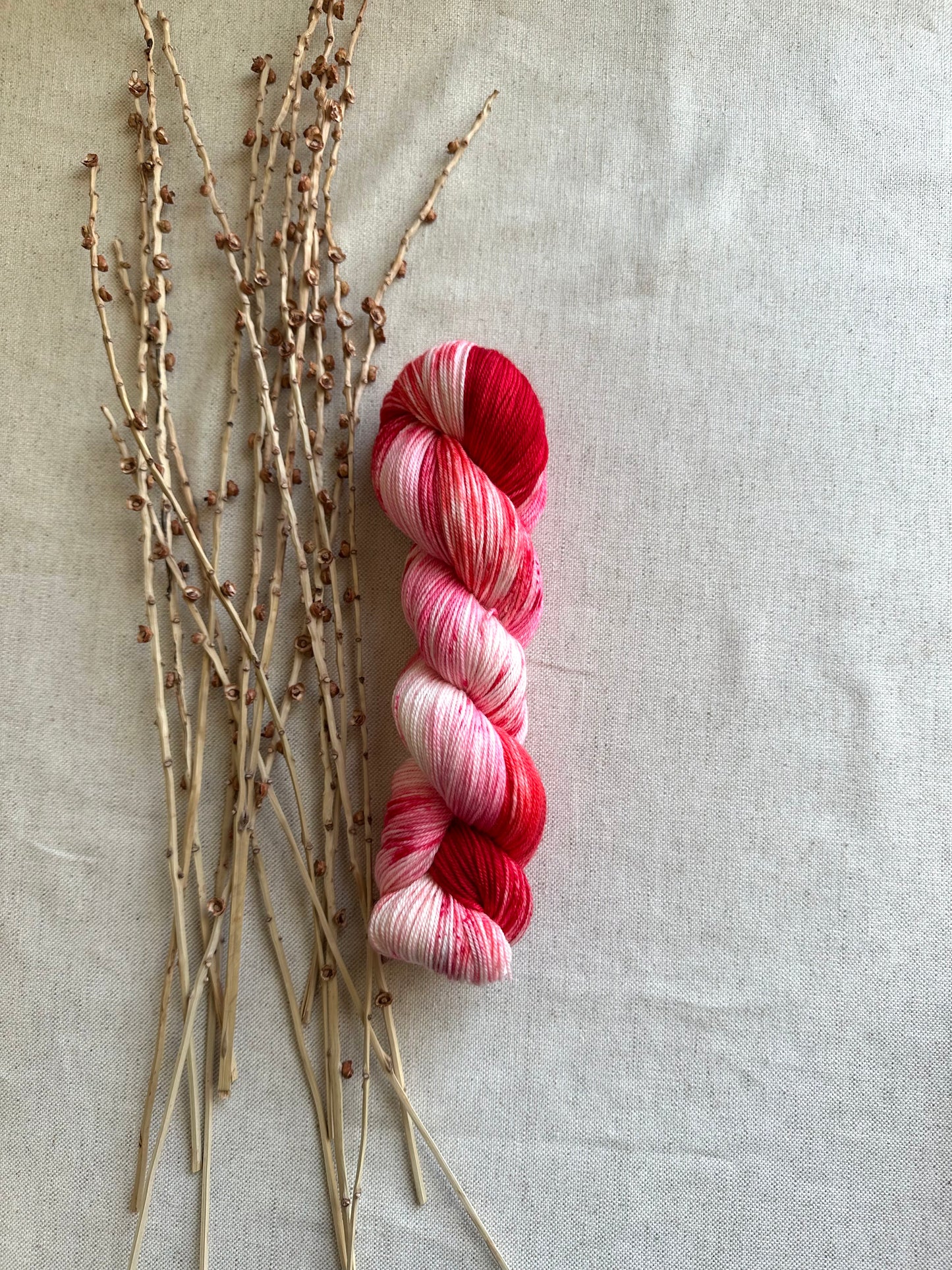 Cherry Pie 100g 3ply SW Merino Nylon