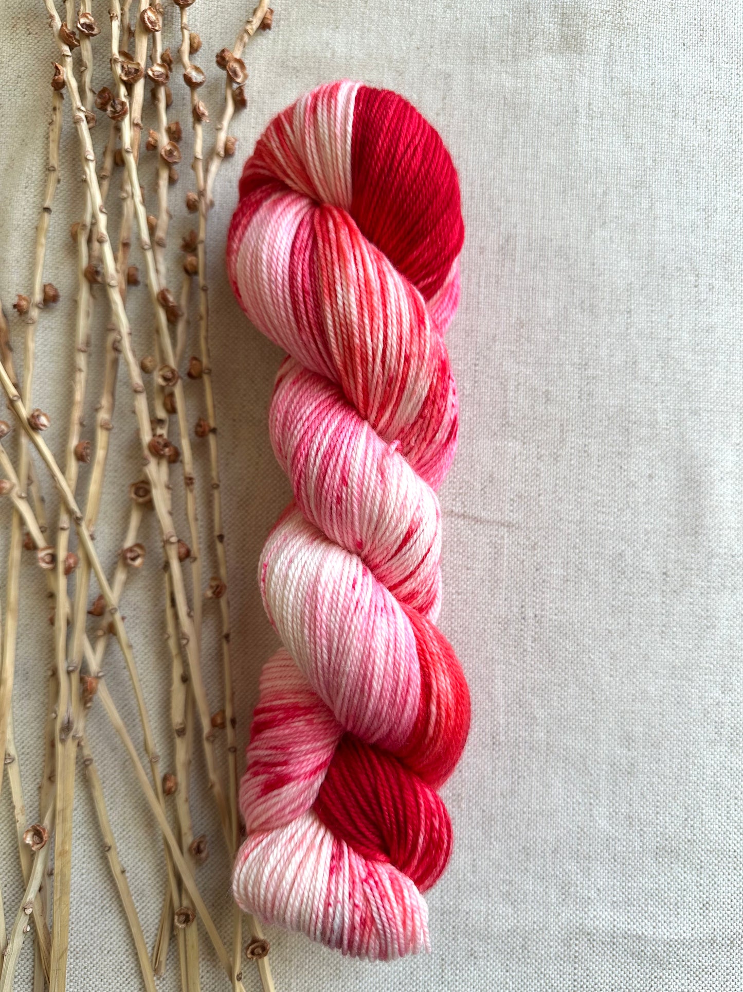 Cherry Pie 100g 3ply SW Merino Nylon