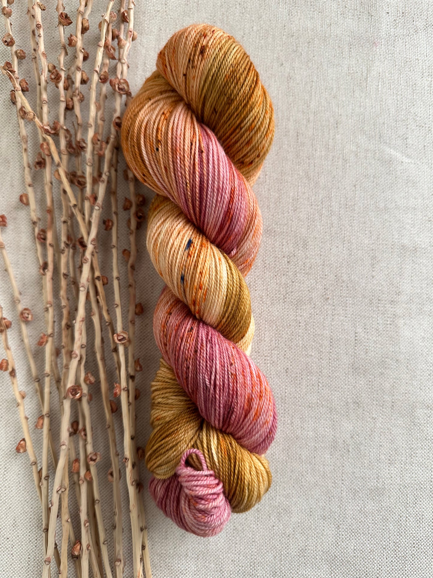 Caramel Dipped Strawberries 100g 3ply SW Merino Nylon