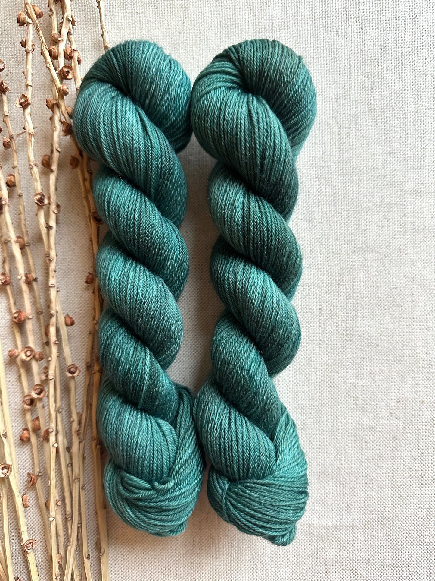 Forest SW Merino Nylon 50g Skein