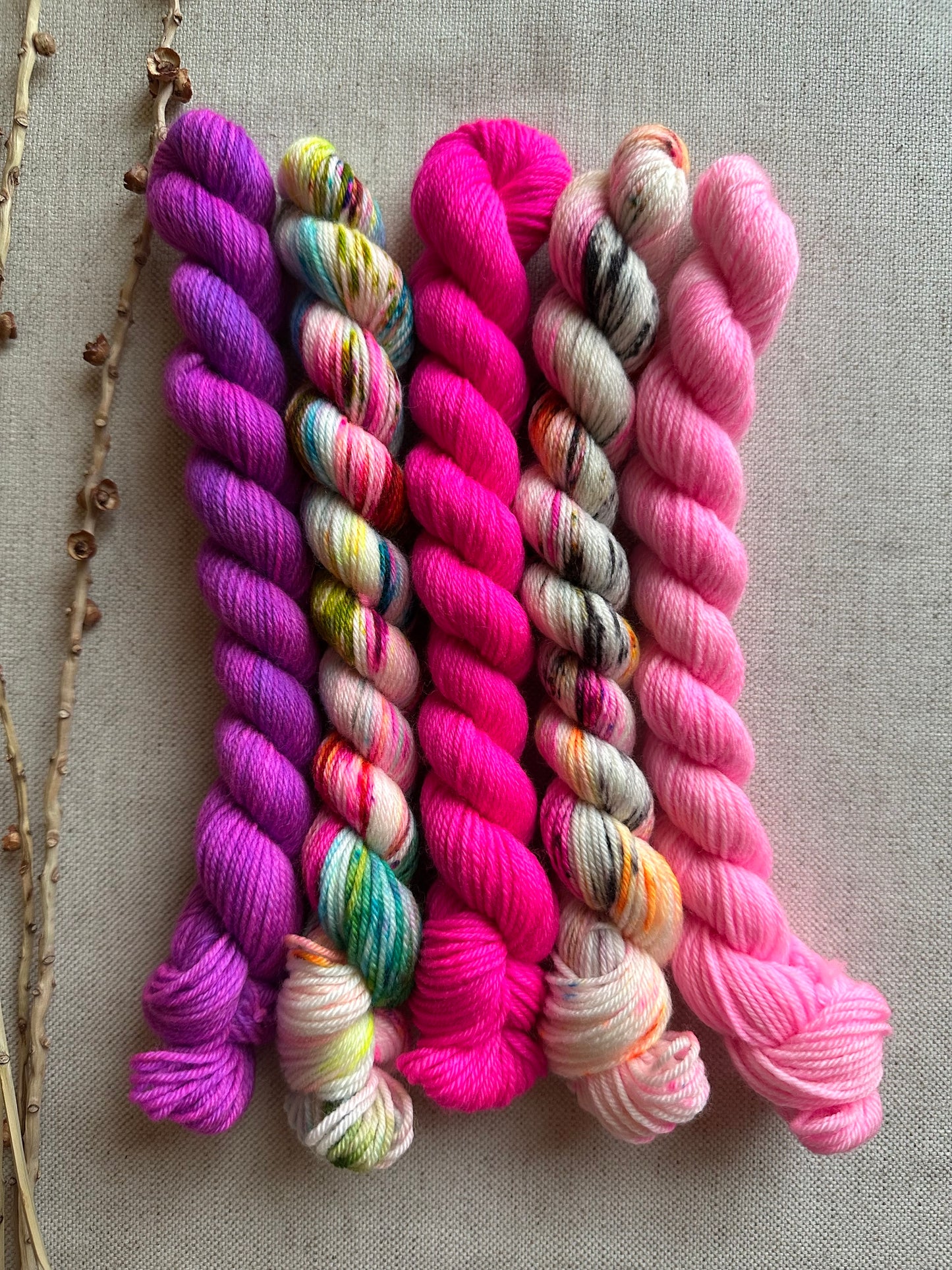 Sugar Cookie Fruit Pizza - SW Merino Nylon Mini Skein Set