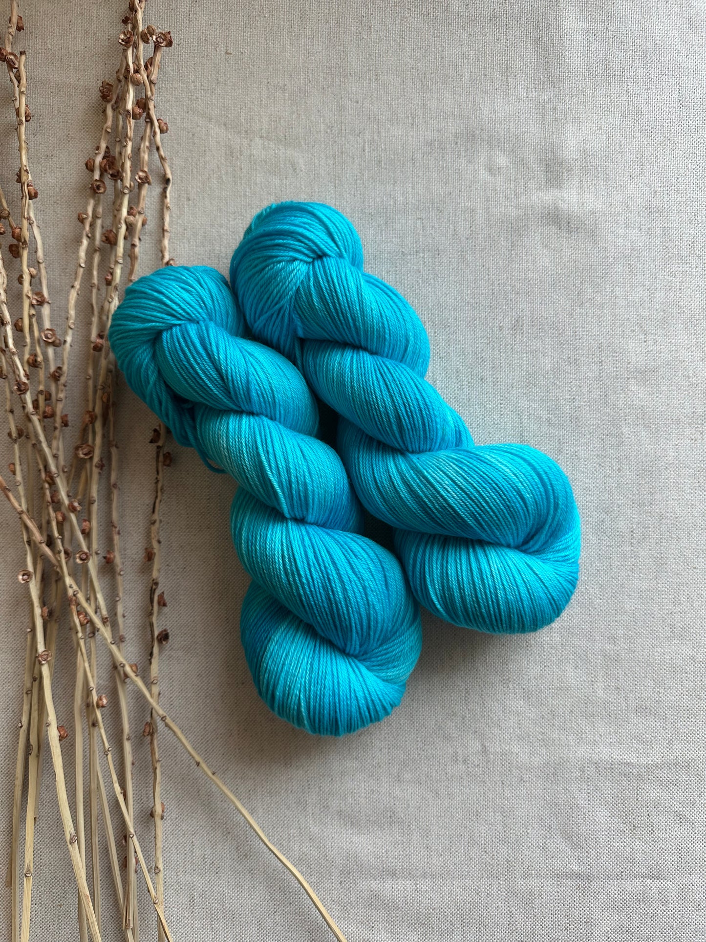 Sea Breeze SW Merino Nylon 100g Skein