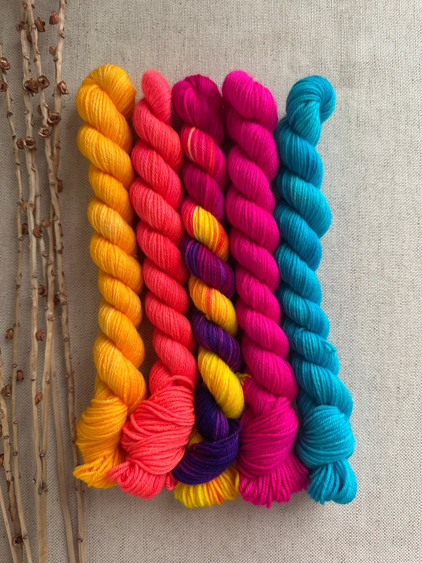 It's Electrifying! - SW Merino Nylon Mini Skein Set