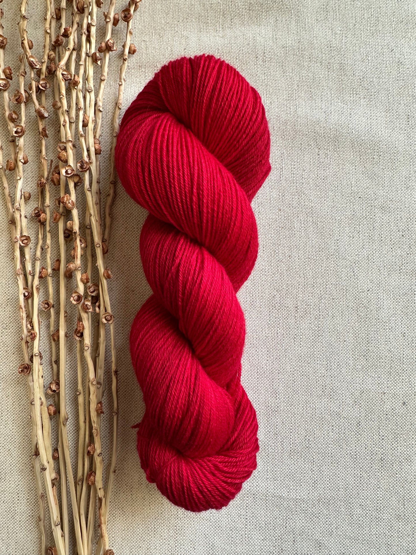 Poinsettia Merino Untreated