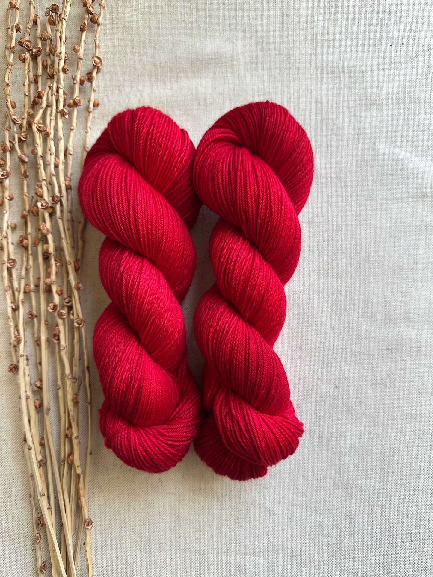 Poinsettia Merino Untreated