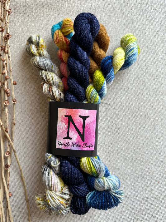 Had Me A Blast - SW Merino Nylon Mini Skein Set