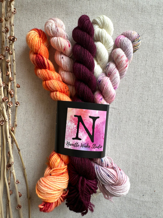 Beauty School Drop-Out - SW Merino Nylon Mini Skein Set