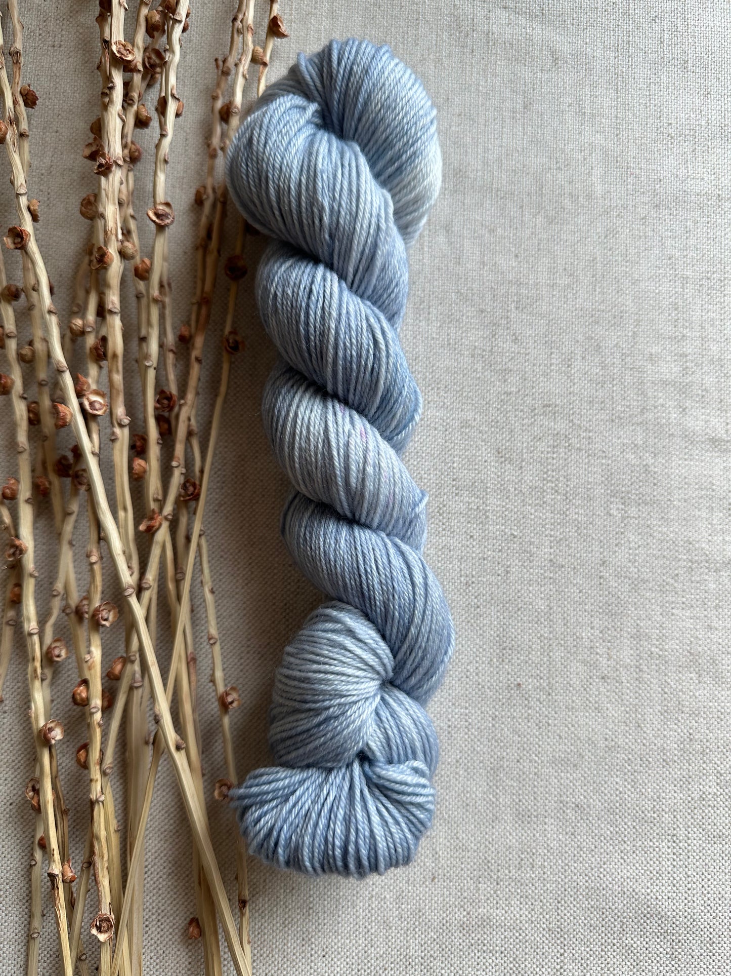 Come Hither SW Merino Nylon 50g Skein