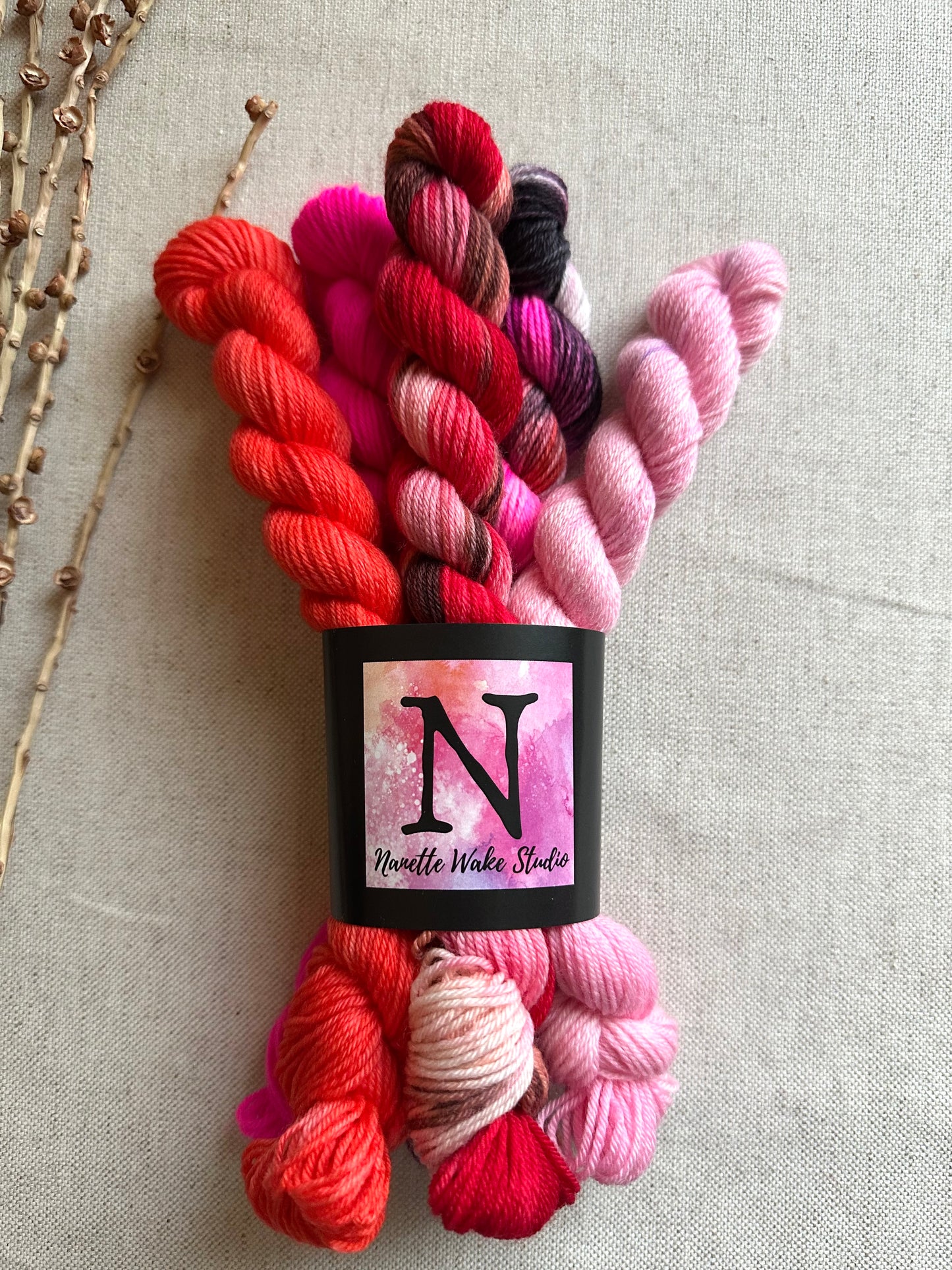 Forget Me Nots - SW Merino Nylon Mini Skein Set