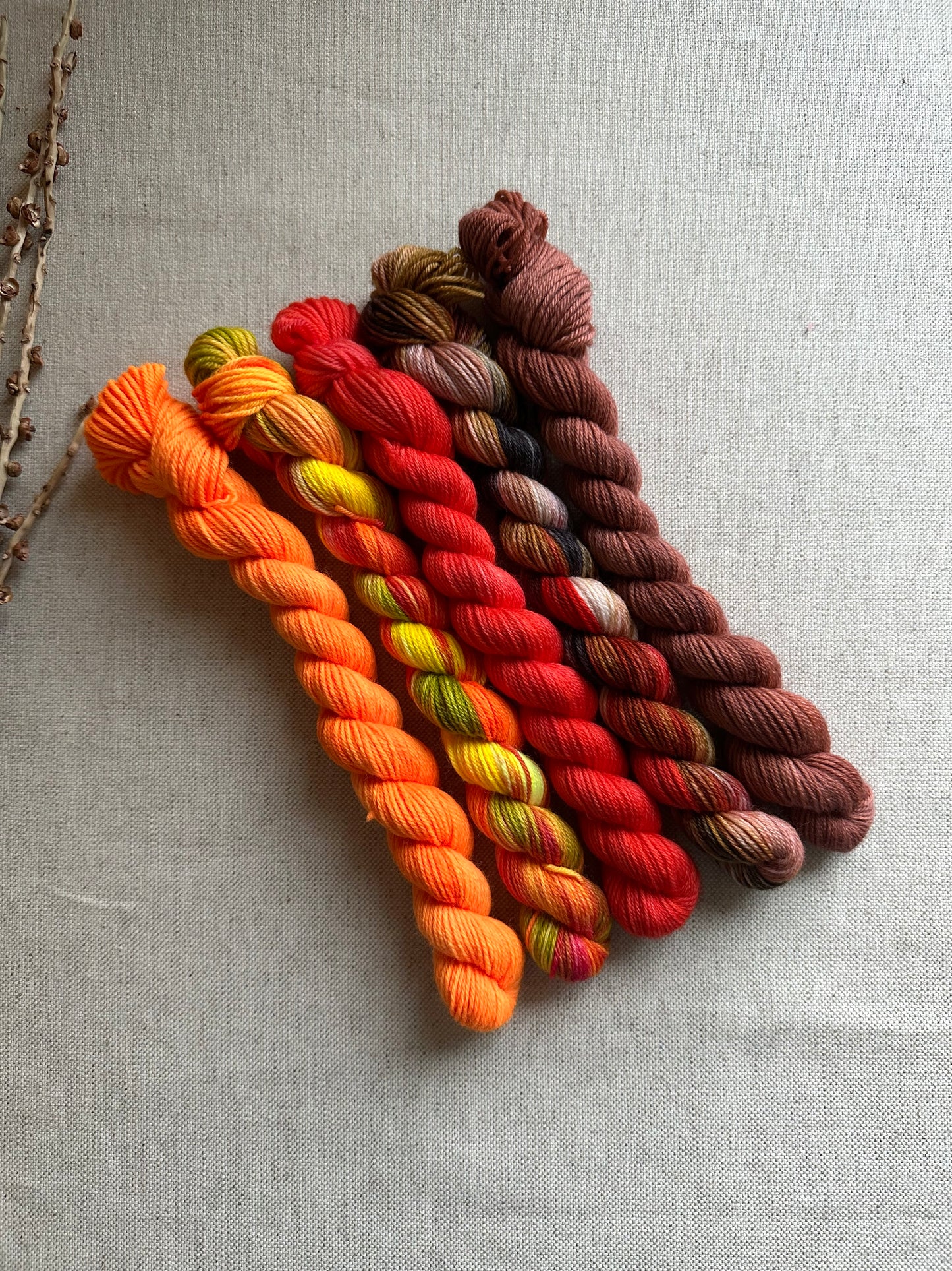 Cock-A-Doodle-Do - SW Merino Nylon Mini Skein Set