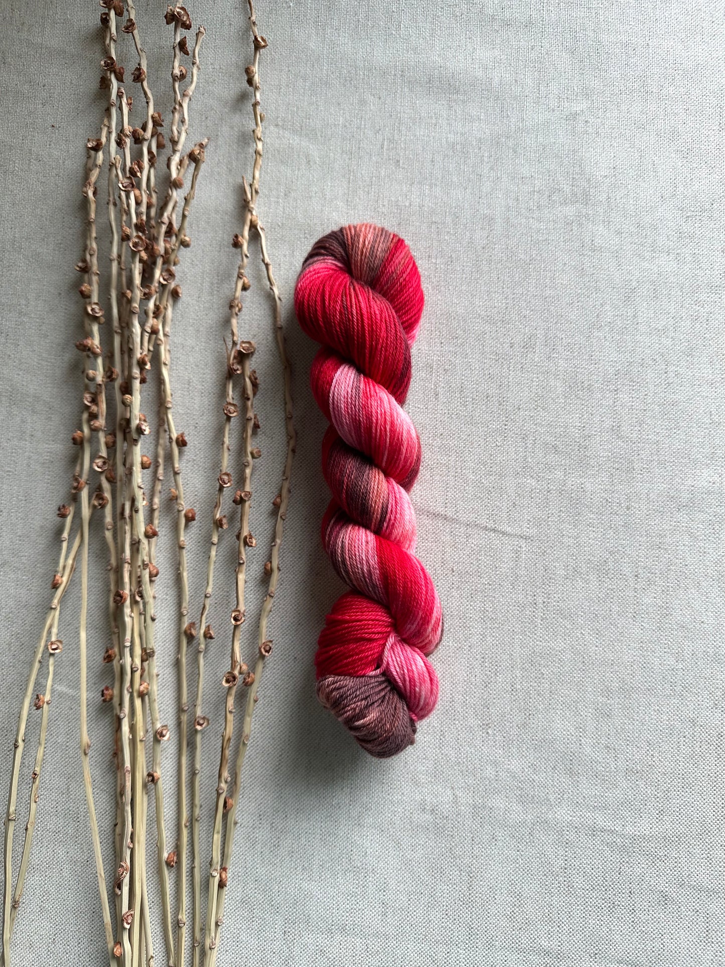 Chocolate Strawberry SW Merino Nylon 50g Skein