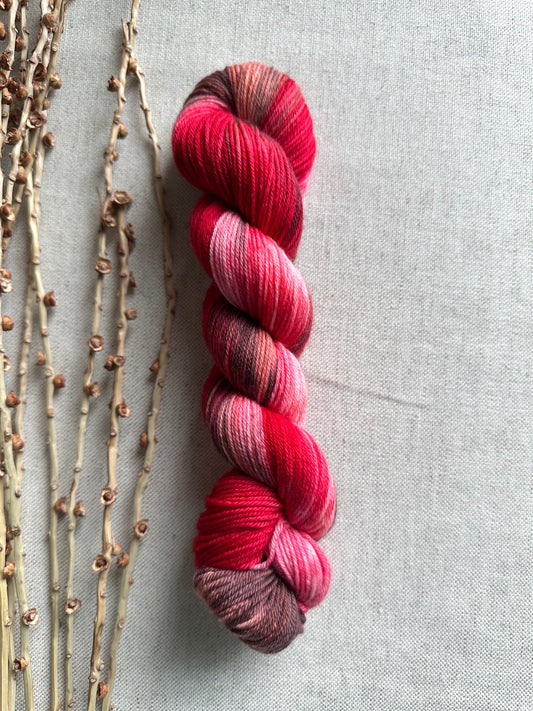 Chocolate Strawberry SW Merino Nylon 50g Skein