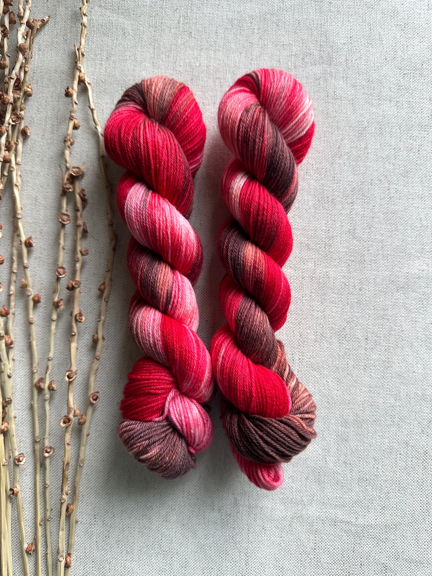 Chocolate Strawberry SW Merino Nylon 50g Skein