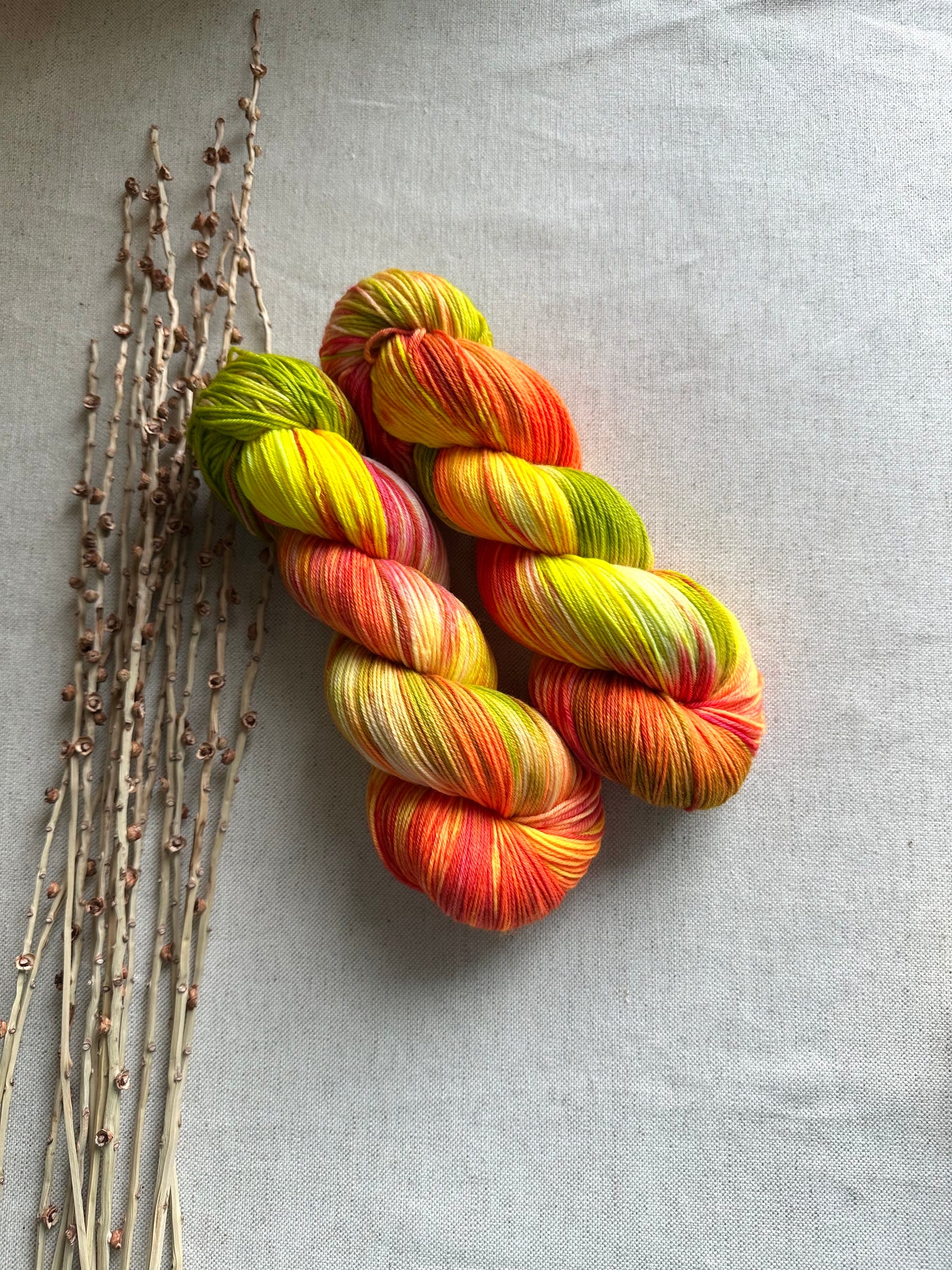 Citrus Smoothie SW Merino Nylon Yarn