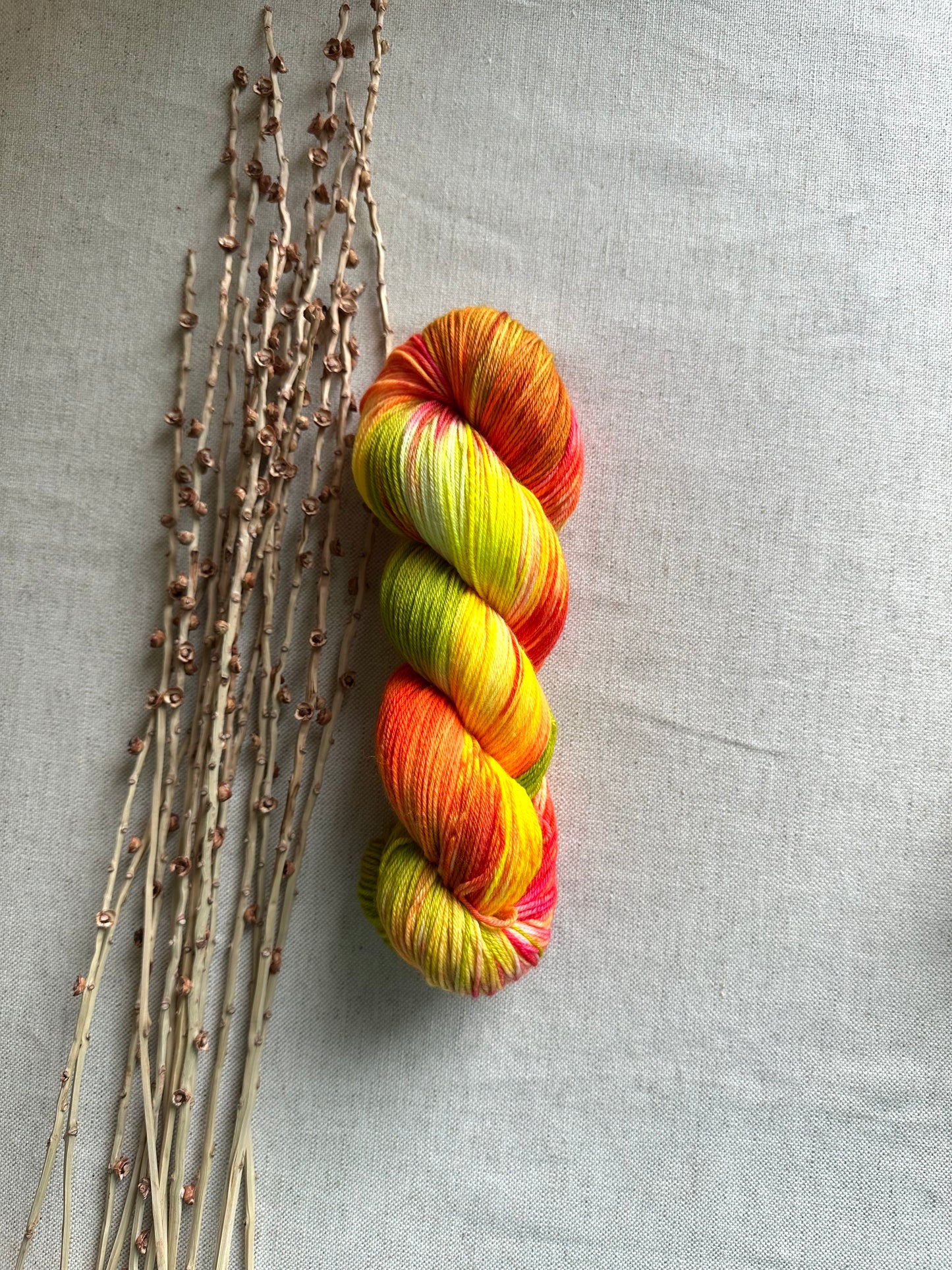 Citrus Smoothie SW Merino Nylon Yarn