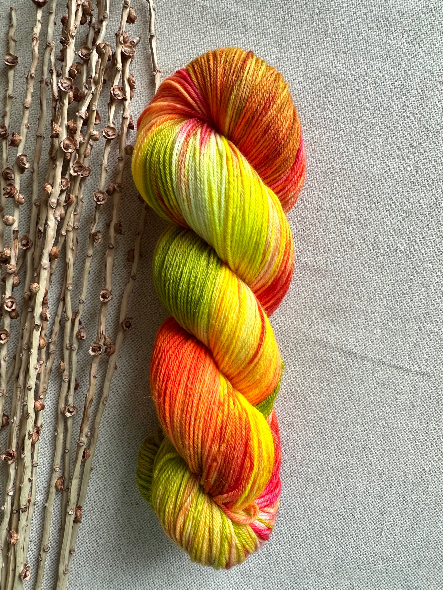 Citrus Smoothie SW Merino Nylon Yarn