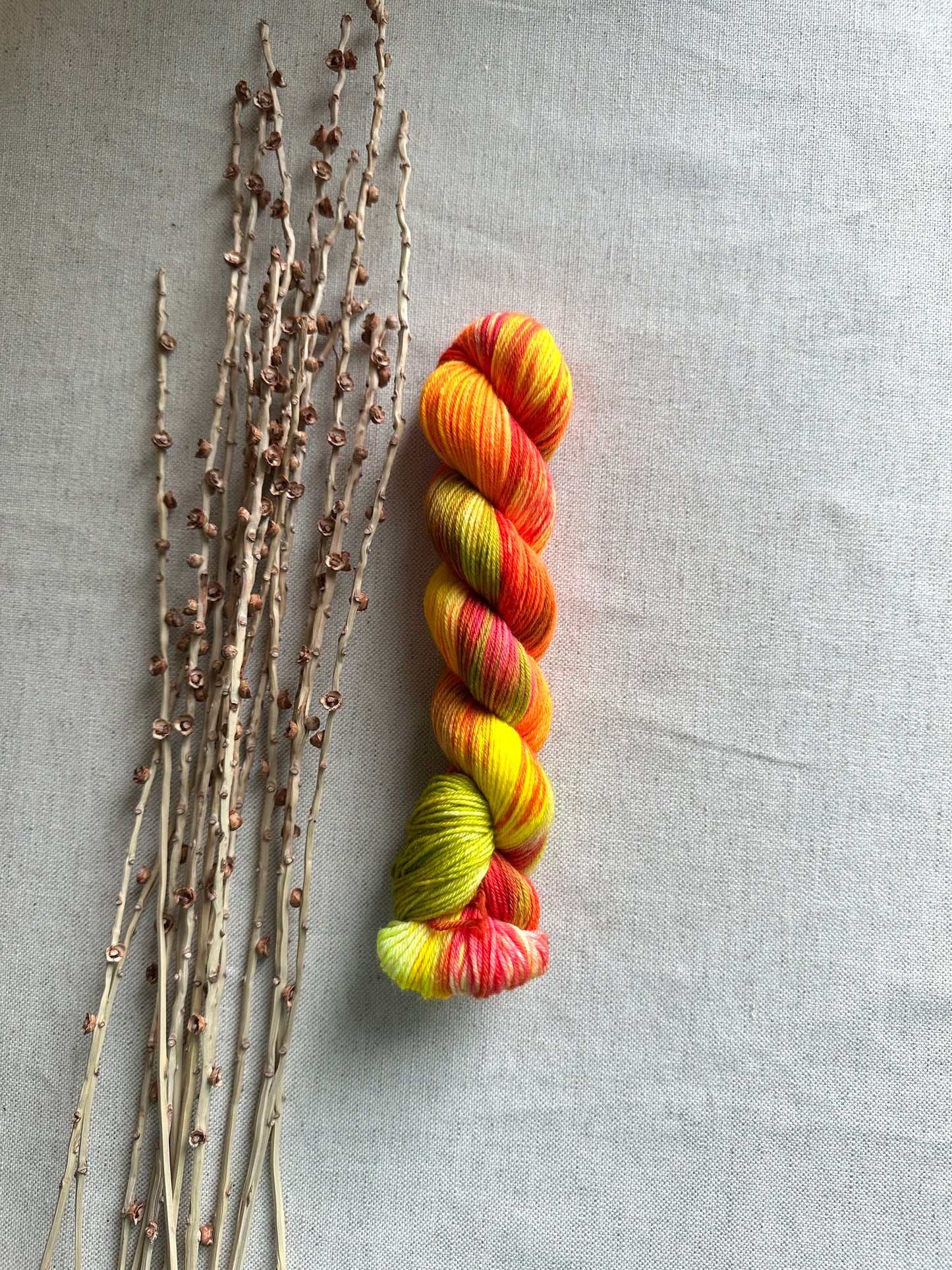 Citrus Smoothie SW Merino Nylon 50g Skein