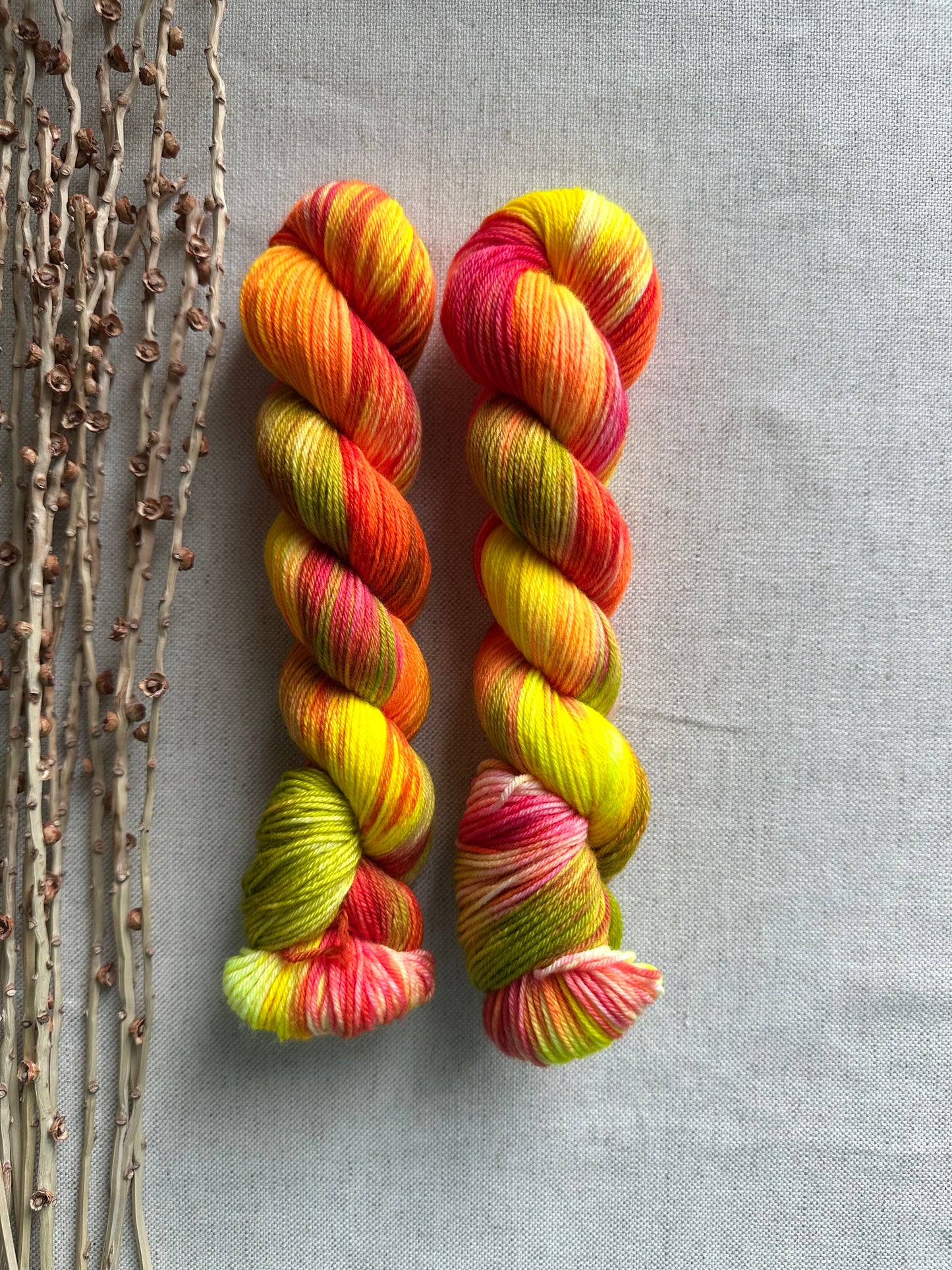 Citrus Smoothie SW Merino Nylon 50g Skein