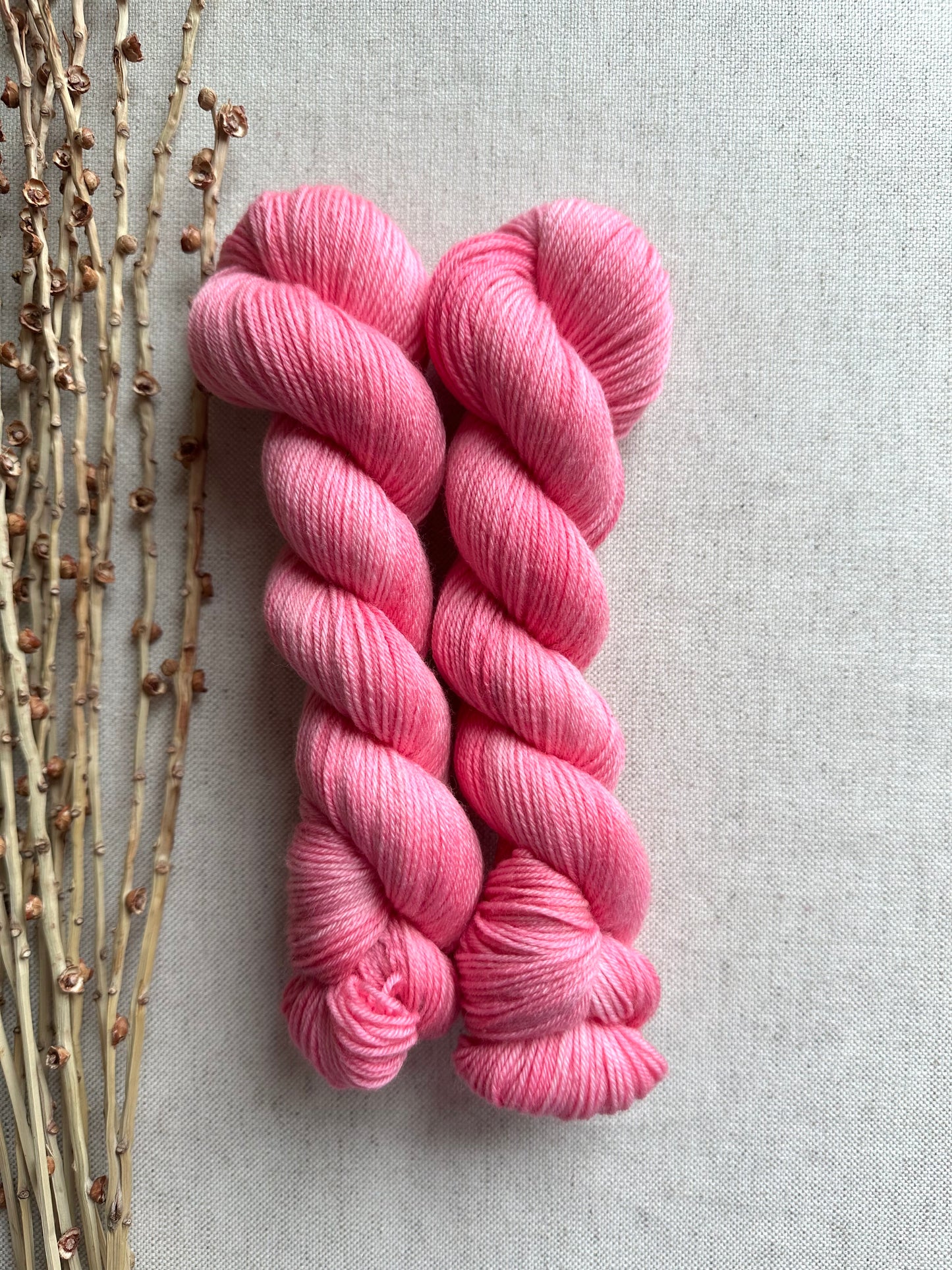 Baby Flamingo SW Merino Nylon 50g Skein