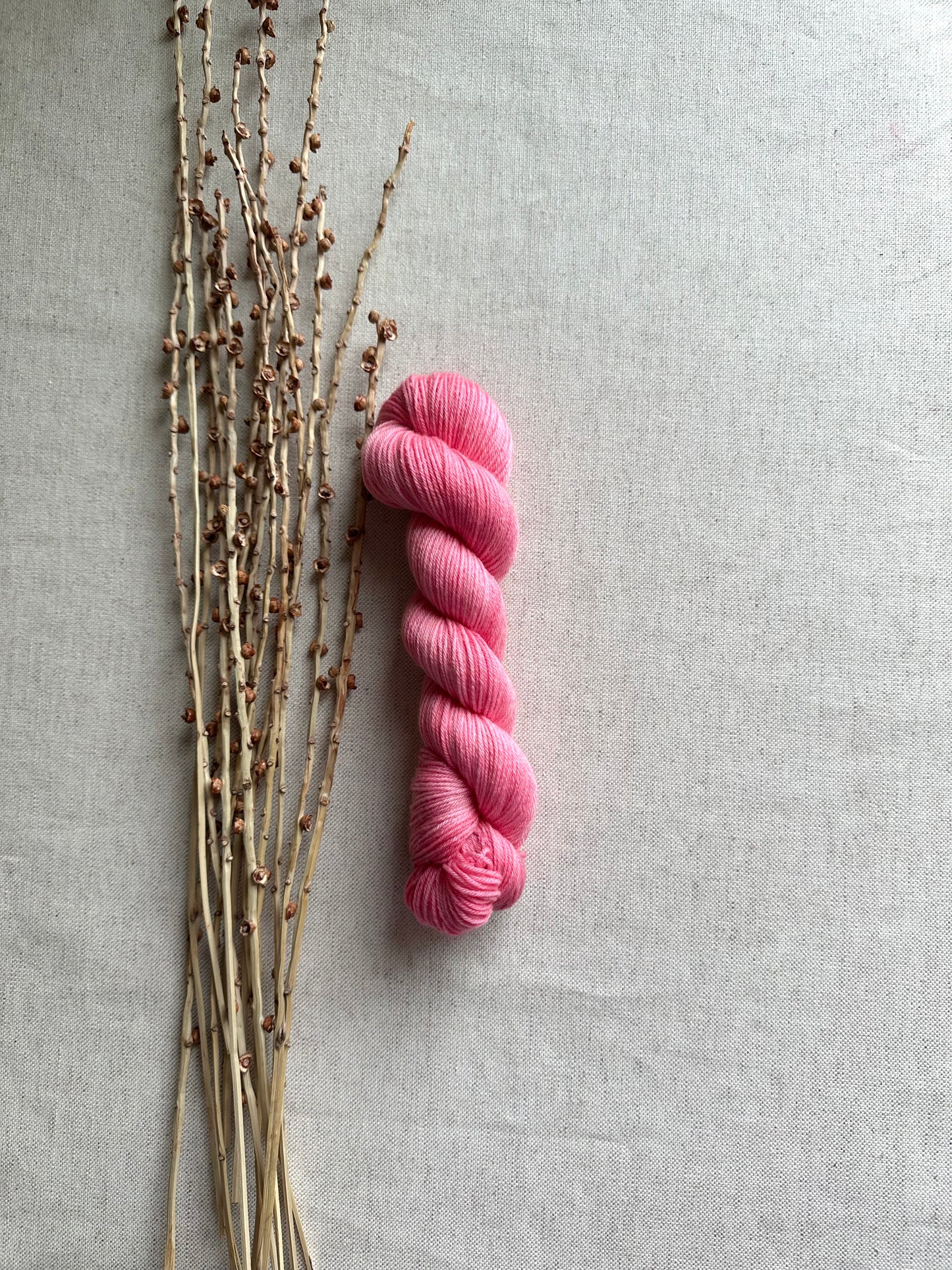 Baby Flamingo SW Merino Nylon 50g Skein