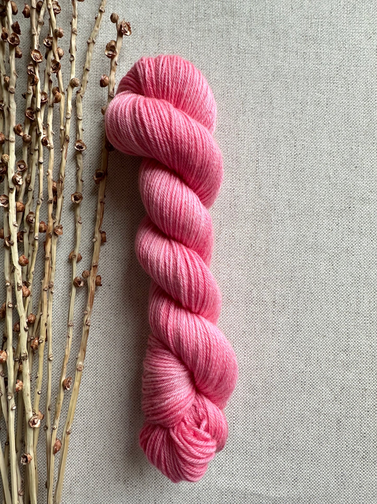 Baby Flamingo SW Merino Nylon 50g Skein