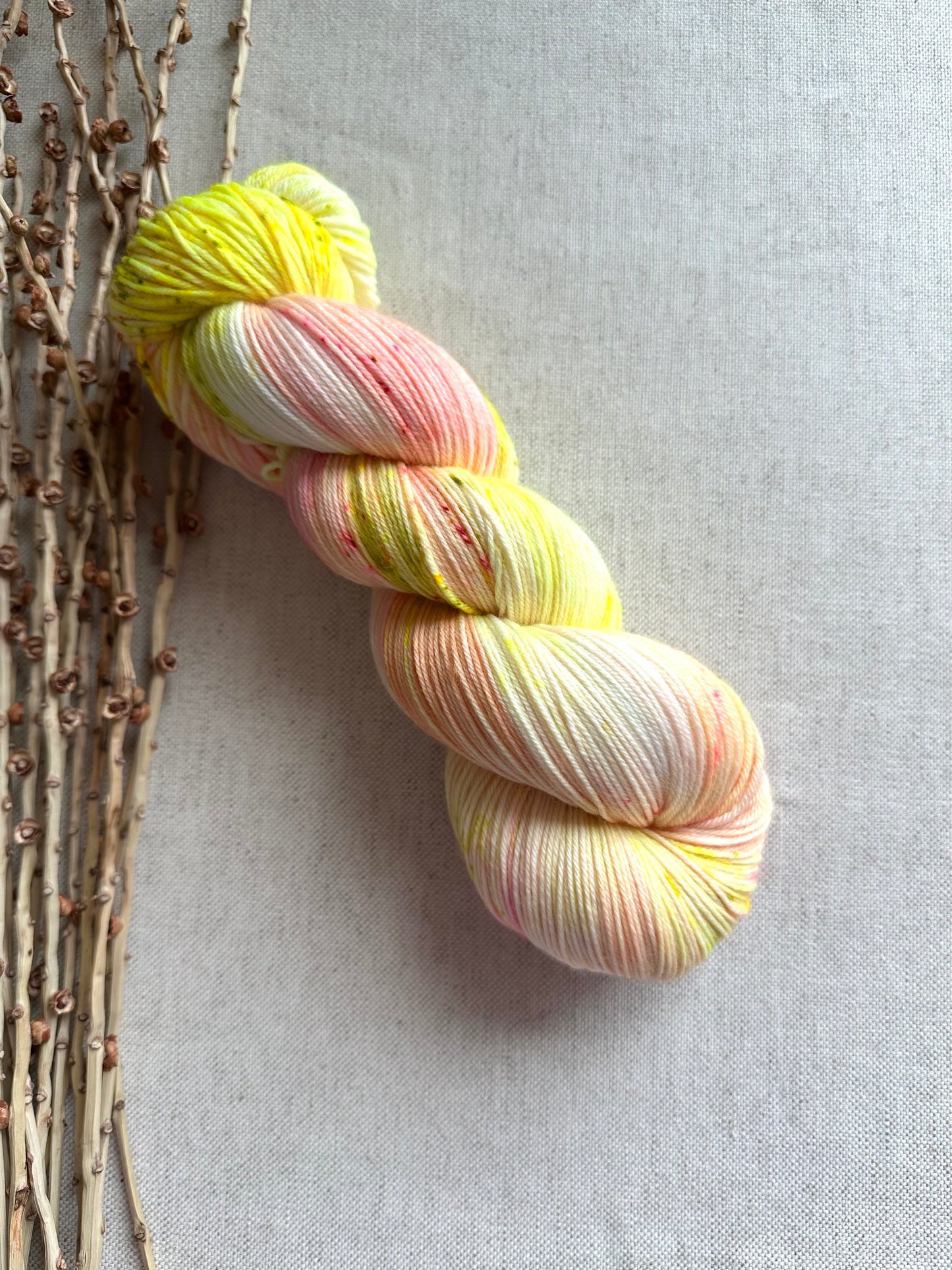 Battenberg Cake SW Merino Nylon Yarn