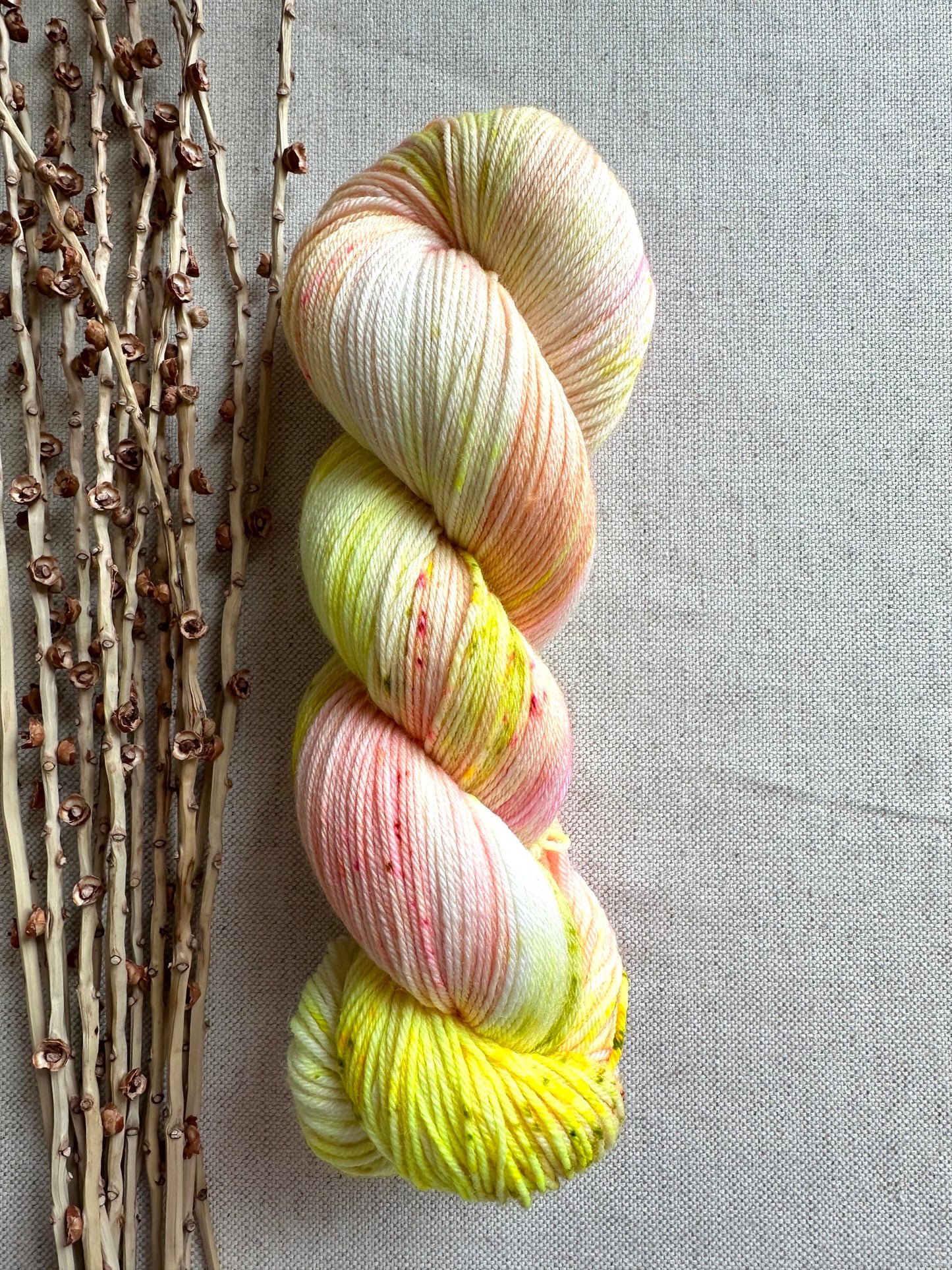 Battenberg Cake SW Merino Nylon Yarn