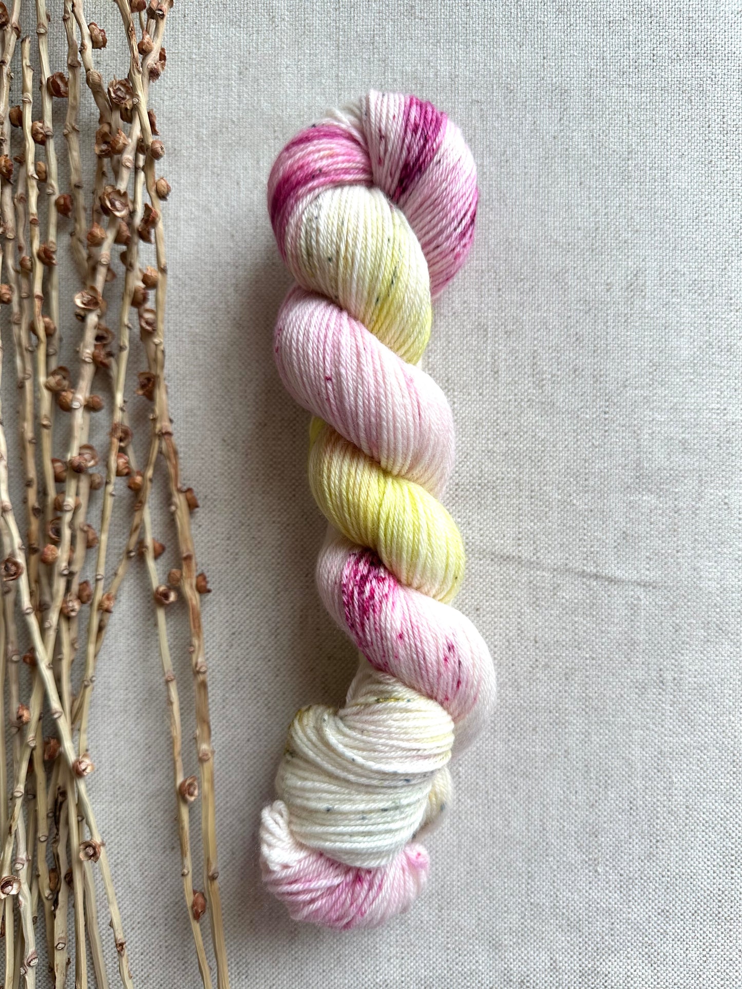 Cliffs of Moher SW Merino Nylon 50g Skein