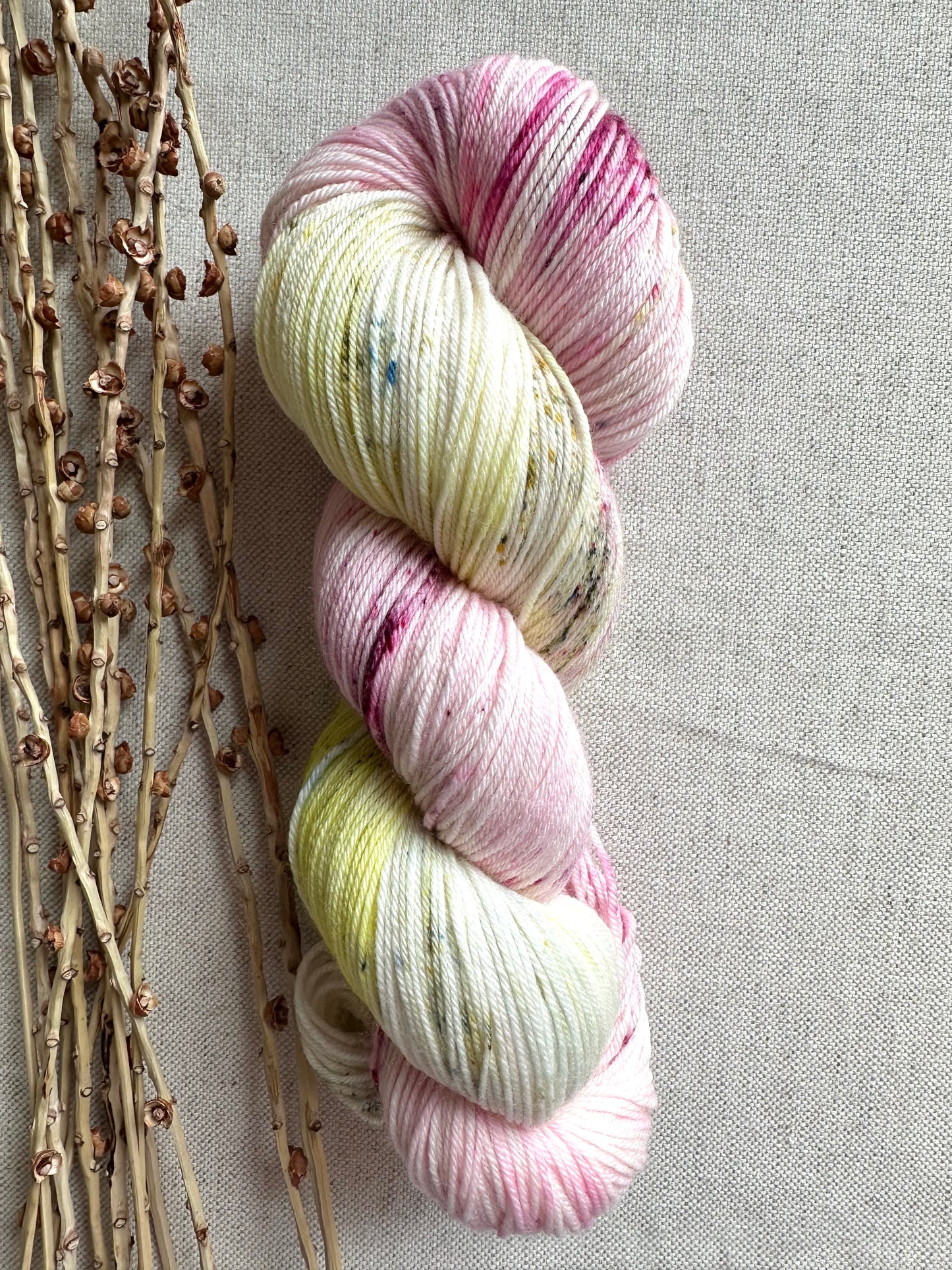 Cliffs of Moher SW Merino Nylon Yarn