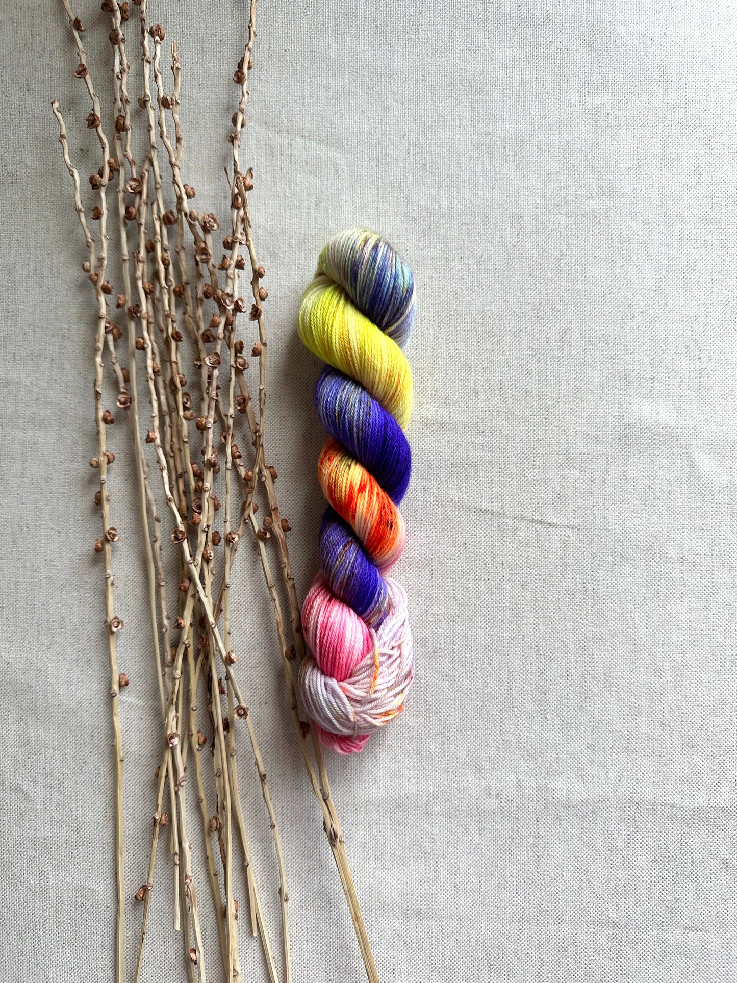 Fancy Guppies SW Merino Nylon 50g Skein