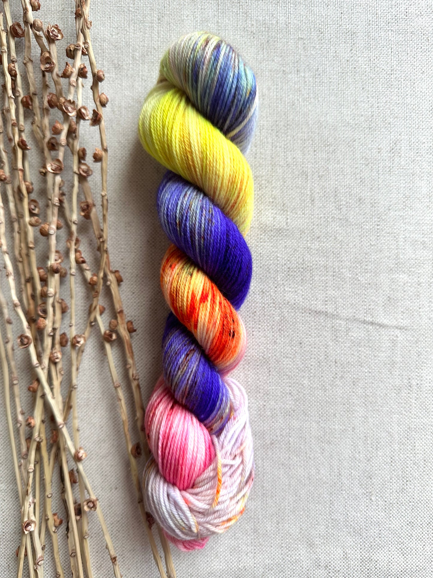 Fancy Guppies SW Merino Nylon 50g Skein