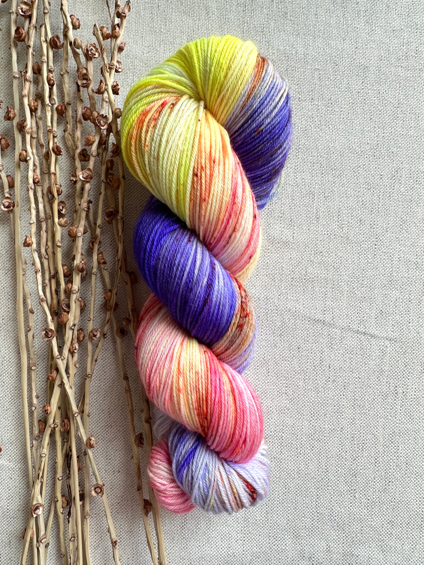 Fancy Guppies SW Merino Nylon Yarn