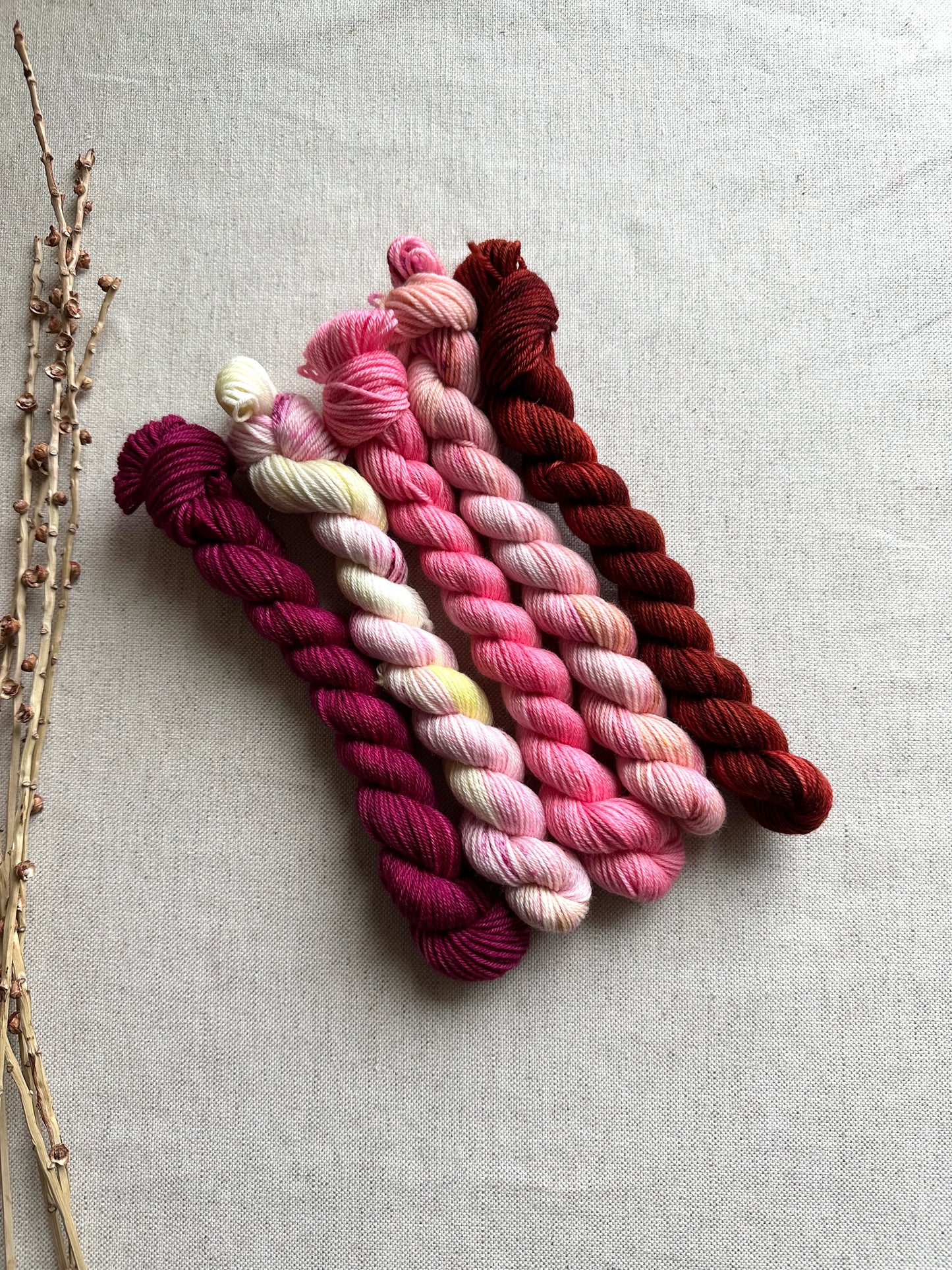 Rhubarb Crumble - SW Merino Nylon Mini Skein Set