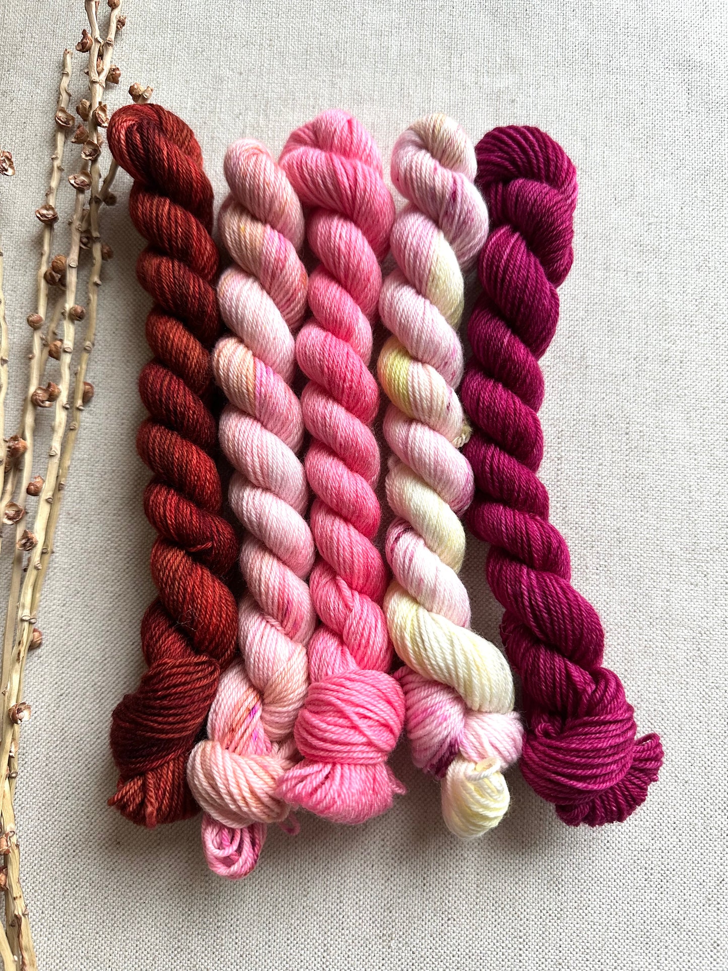 Rhubarb Crumble - SW Merino Nylon Mini Skein Set