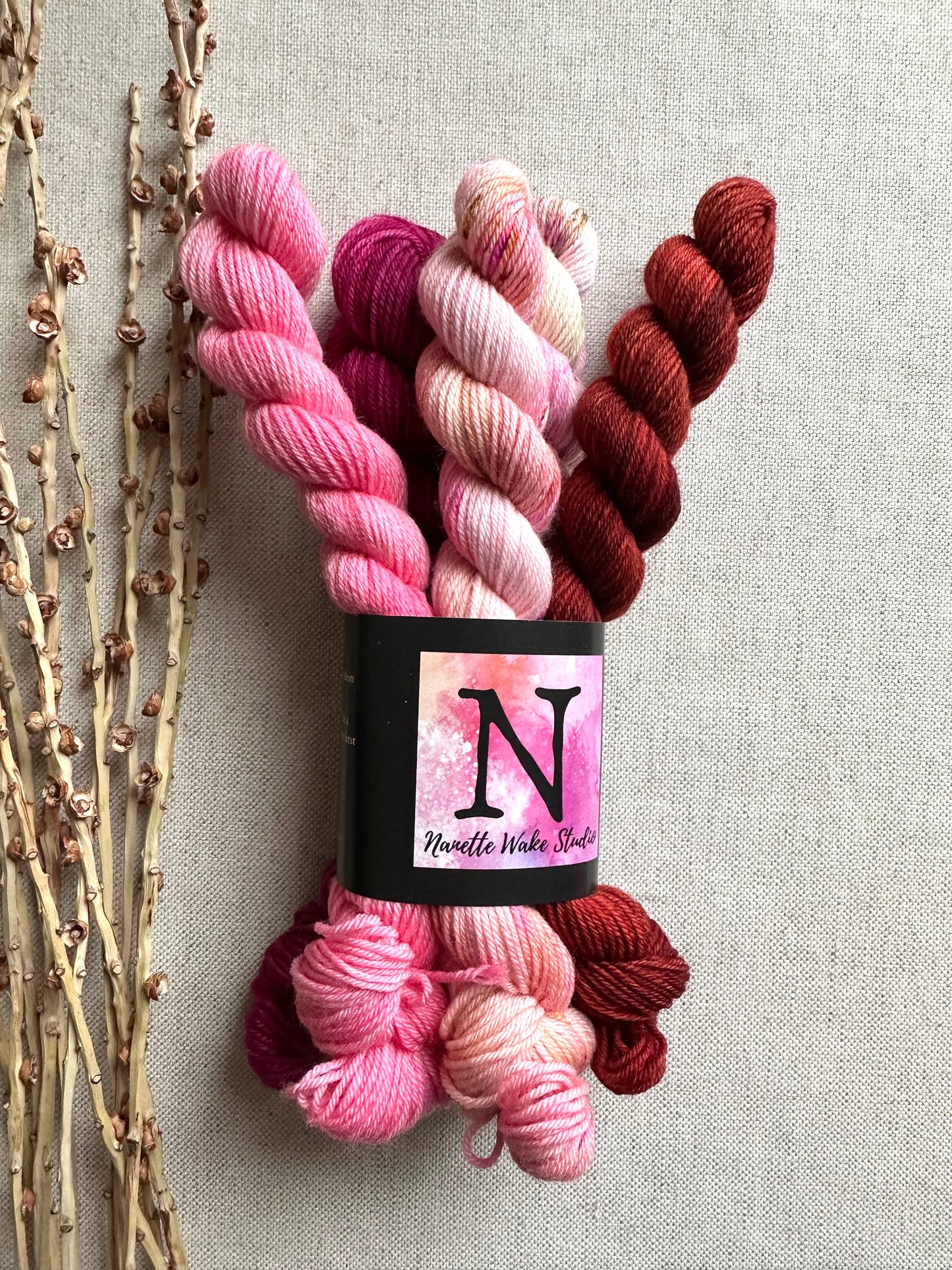 Rhubarb Crumble - SW Merino Nylon Mini Skein Set